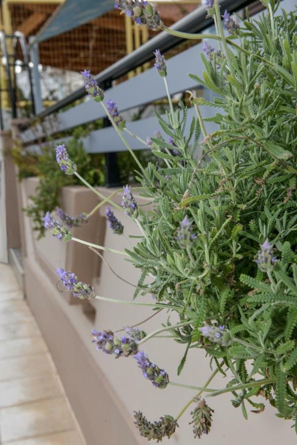 Apartment Aromatic Kissamos